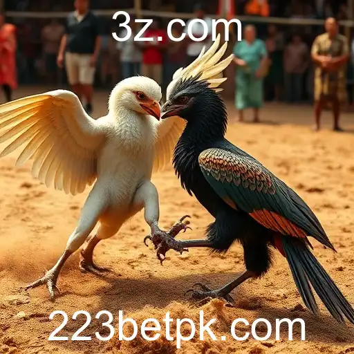 Explorando o Mundo dos Jogos de Sabong com 223bet